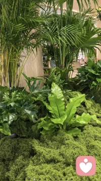 学会🗣说话
学习🗣说话
控制情绪🔥，多说🗣好听的话，🗣吉祥话，语言的力量可以改命！
好的风水💦是从好好说话开始[强][强]配图