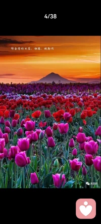 爱是一场漫长的旅程，途中有风景，有风雨，相伴就是最美的风景。配图