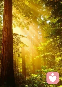 不必迎合众声，你自己的独特，本就是世间难得的风景。配图