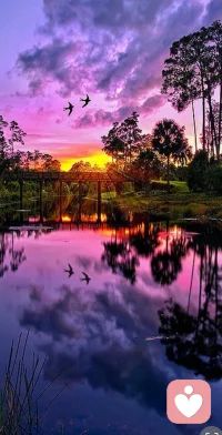 风过荒野，不问归途，自由从来不是选择，是内心的底色。配图