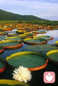 把寻常烟火熬成诗，每个琐碎的瞬间，都藏着生活的谜底。配图
