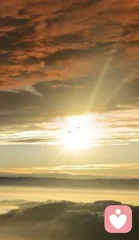 新的一天，新的开始，新的希望，新的生机，新的机遇，新的业绩！配图