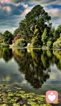 真正的致远，是既能仰望星空定方向，又能低头踏平脚下坑，向前看都是美景。配图