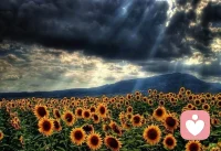 刘震云说：人生苦短，所以吃你想吃的饭，见你想见的人，看你喜欢的风景，做你喜欢的事。来日并不方长，有钱把日子过好，没钱把心情过好，平静的过，健康的活着，开心的笑着，适当的忙着，就很好。余生很贵请把自己活明白！

​配图