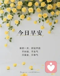 ☀
在自己坚持的道路上🎯带着渴望与期许，去慢慢遇见更好的自己🌈要相信运气：事实上越努力，你的运气会越好~
🔆配图