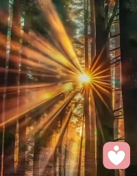 做独属于自己的太阳，无需借助任何人的光芒照亮四方。配图