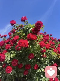 人生的裂痕从不是终点，裂痕里总会照进希望的光，困境里也能悄悄开出温柔的花。配图