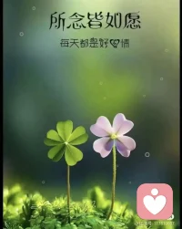 弘一法师曾感悟：很多你以为的遗憾，其实是在帮你避开灾祸。生活里的安排，从来都有它的道理。有些机会看似光鲜，背后却藏着未知的风险；有些道路看似平坦，往前走才知道布满坎坷。当下的失去，未必是运气不好，而是生活在以另一种方式保护你。配图