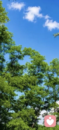 人生的长度，长不过春夏秋冬；人生的宽度，宽不过南北西东；人生的高度，高不过蓝天白云；人生的无常，无非是悲欢离合。前半生，从简单到复杂，这是阅历；后半生，从复杂到简单，这是修行。