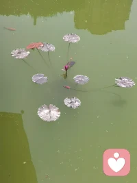 一个人的生命历程中，难免会遇到两种人：一种是贵人，一种是恶人。


贵人正面助你成才，小人反面促你成熟。


俗话说：不受烟火不成神，不受折磨不成人。


未曾经历羞辱与痛苦，人往往难以真正成长。那些曾让你痛彻心扉的人，或许是命运派来渡你的。


真正推着我们快速成长的，除了贵人，还有给你上了沉重一课的恶人。配图