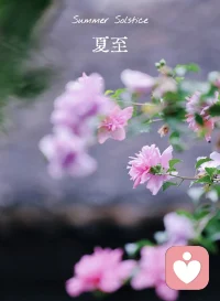 哪怕是细碎寻常日子，用心感觉，也能开出温柔繁花。配图