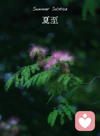 人间岁月漫漫悠长，切莫辜负每一段好时光。配图