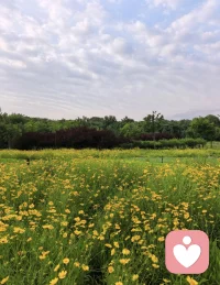 人生的旅途，风景不在目的地，而在沿途的经历和感悟 。配图