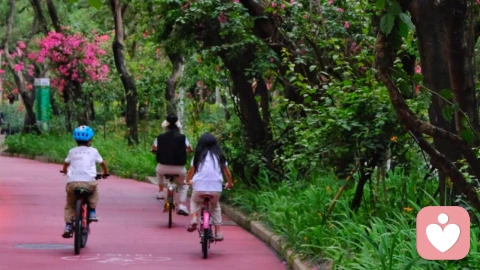 你的心灵也需要一场深呼吸：写给每一个正在努力生活的你\n\n我们习惯了关注身体的每一个信号——头痛了吃药，累了就想着补一觉。可是，当我们的内心感到疲惫、焦虑或迷