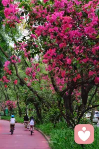 你不是想太多，你只是需要被看见
别想那么多你要坚强比你惨的人多了这些话，你是不是也经常对自己说?
我们生活在一个崇尚正能量的时代，似乎承认自己不好就是一种软弱。于是，很多人把自己的情绪藏了起来，把焦虑藏在深夜的辗转反侧里，把抑郁藏在嘴角勉强的微笑里，把压力藏在日复一日的麻木中。
但我想告诉你：你的感受是真实的，也是值得被重视的。情绪没有对错，它只是心灵发出的信号它在提醒你：我有些累了，我需要被看见，我需要被关怀。配图