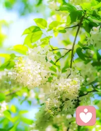 一，首先，请允许自己焦虑
当我们感到焦虑时，第一反应往往是抗拒：我不应该这样,我必须要赶紧好起来。这种对抗，恰恰是痛苦的根源。
心理学有一个白熊效应：越是告诉自己不要想白熊，白熊的形象就越清晰。
焦虑也是如此。当你拼命想要驱赶它时，它反而会占据你全部的心思。
请试着换一种方式：允许它存在。告诉自己：我此刻确实感到焦虑，这没关系。这说明我在意某些事，我的身心正在调动能量来应对。
允许自己焦虑，不是放弃治疗，而是停止内耗。当你不再把焦虑视为敌人，而是把它看作一个在角落里发抖，需要被安抚的朋友时，你已经夺回了内心的主动权。配图