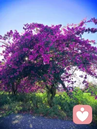 心理咨询：不是因为你有病,而是因为你值得
很多人对心理咨询有一个误解只有病得很重的人才需要去。于是，他们习惯性地把求助等同于软弱，把走进咨询室当作一种失败。
但事实恰恰相反。
心理咨询，从来不是为少数人准备的奢侈品，而是为每一个愿意更了解自己的人打开的一扇门。配图