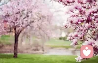 心理咨询，到底在做什么?
首先需要澄清一个事实：心理咨询服务的对象，绝大多数是心理健康的普通人。
他们可能正经历一段难熬的时期职场压力，感情困扰，失去亲人的悲伤，自我价值的迷茫。他们没有被诊断为任何精神疾病，但他们确实感到痛苦，困惑，疲惫，或者只是不知道自己怎么了.
心理咨询提供的，是一个经过专业设计的安全空间。
在这里，你可以说任何话，不用顾虑对方的感受，不用担心被评判，不必维持我很好的形象。咨询师受过系统训练，他们不会急着给你建议，不会说想开点就好，而是陪你一起梳理那些纠缠不清的情绪，帮你看到自己内心真正的需求和渴望。配图