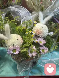 也许我们没有七十二变，但生活难免有八十一难。
我是暖语倾听，闲暇时刻在线，接住你的每一份情绪。配图