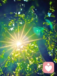 缘起时，我在人群中看见你，
愿缘灭时，我看见你，在人群中。
相濡以沫，不如相忘于江湖。
让花成花，让树成树，让自己活出自己。配图