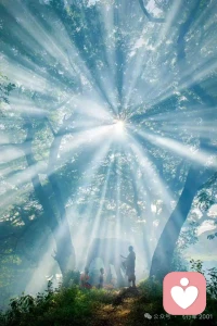 缘起时，我在人群中看见你，
愿缘灭时，我看见你，在人群中。
相濡以沫，不如相忘于江湖。
让花成花，让树成树，让自己活出自己。配图