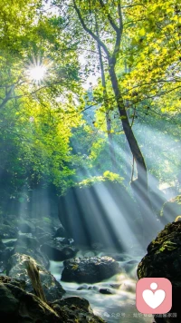 缘起时，我在人群中看见你，
愿缘灭时，我看见你，在人群中。
相濡以沫，不如相忘于江湖。
让花成花，让树成树，让自己活出自己。配图