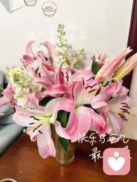 现在有空，可接语音单
有需要的欢迎下单！配图