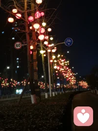 可是为什么，即使身处热闹人群，内心深处还是有一片无人踏足的荒原？配图