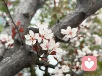 1. 允许一切发生，也允许一切结束，你已经做得很好了。

2. 慢慢来，谁还没有一个努力的过程，别为难自己。

3. 生活是旷野，不是轨道，你可以走任何你想走的路。