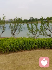 今天睡了一个懒觉，偶尔摆烂一次，身心舒畅。早安配图