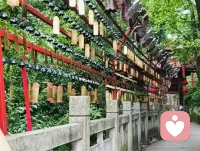 人到中年才懂：我这一生，都困在受害者模式里
活到四十多岁，终于撕开了自己潜意识最深处的真相。
婆家的刁难、丈夫的动手、原生家庭的反向伤害，从来都不只是偶然的厄运。
 
从小在原生家庭做透明的隐形人，只有委屈和受伤时，才会被家人看见。久而久之，潜意识形成了根深蒂固的执念：痛苦，才代表被在乎；承受伤害，才算拥有联结。
 
我在外温和通透，人缘很好，一回到至亲身边，就自动开启隐忍退让的受害者剧本，一次次吸引来消耗我的人。
 
直到这一回，我不再妥协顺从，撕破血缘道德绑架的面具，才彻底清醒。
别人的自私是一部分，自己不愿醒来，才是痛苦的根源。
 
往后，彻底跳出受害者模式，划清边界，不再内耗，只为自己和孩子好好活。配图