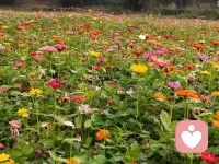 风里已经有了春天的味道，花会开，天会暖，万事皆可期待。