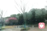 难过的时候，不要假装坚强，总会有人心疼你的脆弱。配图