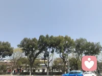 我们常常以为，只要大家态度好，说话客气就算同心。但如果我们的心思没有被同一个中心所占据。就算是最亲密的夫妻，也很难思念相同的事。配图