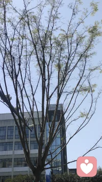 把关注点从“别人的期待”收回到“自己的感受”。
宝子你不需要活成所有人喜欢的样子，你只需要做你自己。配图