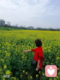 不用逼自己马上好起来，难过、迷茫、累，都正常。
你只管照顾好自己，剩下的，慢慢来，都会好的。
要相信你从来不是一个人，我永远站你这边。