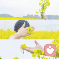 不必焦虑，有人三分钟泡面，有人三小时煲汤，有人外卖已经送达，有人刚切好蒜苔和肉。生活从来没有标准答案，你选择的节奏，就是最适合你的人生。