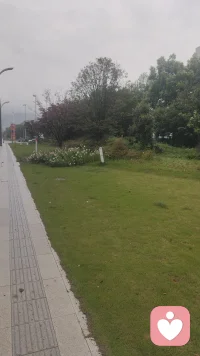 我们终其一生，都在寻找被爱和被肯定，可到最后才发现，能接住你所有情绪，能给你足够安全感的，从来只有你自己。