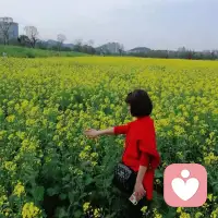 五一假期第二天，堵人堵路堵车，还是来这里天花乱坠聊天八只脚，发泄所有好与不好的情绪，波姐一直在，会无限接住你的一切心情。配图
