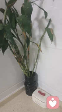 成年人的世界，情绪要自愈，心事要藏起，委屈不必逢人就讲。没人会一直共情你的难过，唯有自己撑过去，才是一生的底气。
                                               ——波姐倾听伴你左右