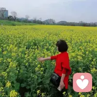 不是所有的“掏心掏肺”都能换来真心，再亲密的关系，也要保留一点底线和距离。你的软肋，只能留给真正值得信任的人。配图