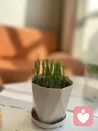 有些东西真的没有感同身受。涉及到本身，自己同样会觉得难处理。