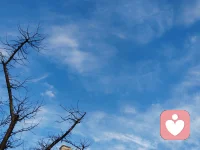 今天出门前，
不妨对着镜子里的自己说：
“你的感受，值得被听见。”
即使此刻还做不到，
也请记得——
有人始终相信，
你无需完美，也值得被温柔以待。

早安，新的一天。
你的情绪气象站，今天由我守护。🌱配图