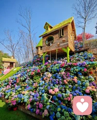 女性最大的魅力，不是世俗的漂亮，也不是母爱的爆棚，而是顽强的生命力和绝不妥协的念力，向外求，求而不得，向内求，生生不息！