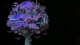 被反复拉扯的伤口：复杂创伤PTSD，不止是害怕那么简单