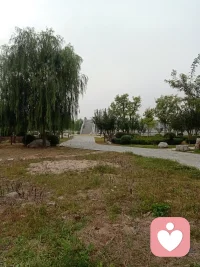 时间长了，就有了孤单，释放一下都成了习惯！配图