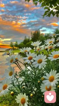 感受到痛苦就是在进步配图