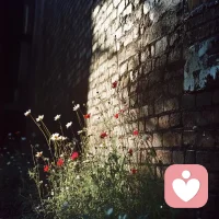 你没钱，没权，没人脉，真遇到什么事，即使你是对的，又有几个人会向着你？配图