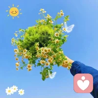 做三四月的事，在八九月自会有消息，人生缓缓，自有答案。配图