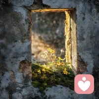 但凡我能解决的，都不是问题
实在解决不了的，都不是我的问题配图